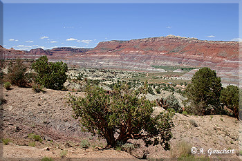 Blick in das Paria Valley